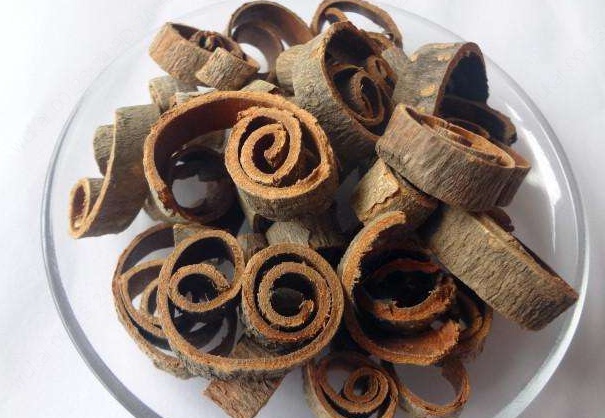 四川常见的野生植物,国家二级保护植物在云南沦为野草