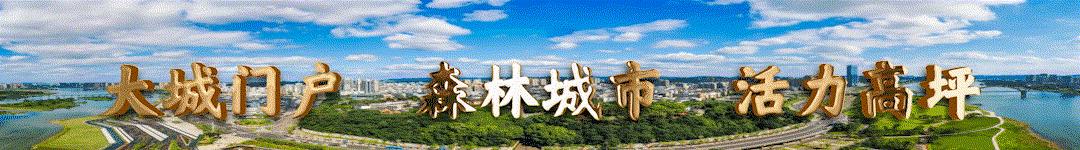 正面刚!金融新城PK空港新城,哪个是你心中的“扛把子”?