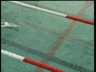 爬泳转身技术,爬泳中后交叉教学