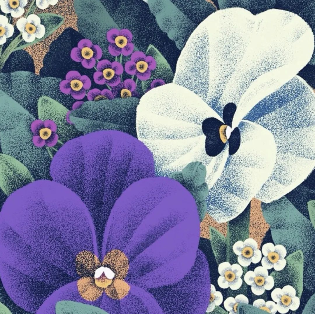 精妙的细节和色彩插画,插画作品想象力是最吸引人的色彩