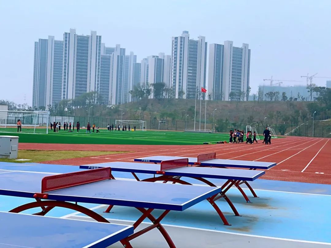 南京外国语仙林分校华侨城小学,南京仙林分校华侨城小学怎么样