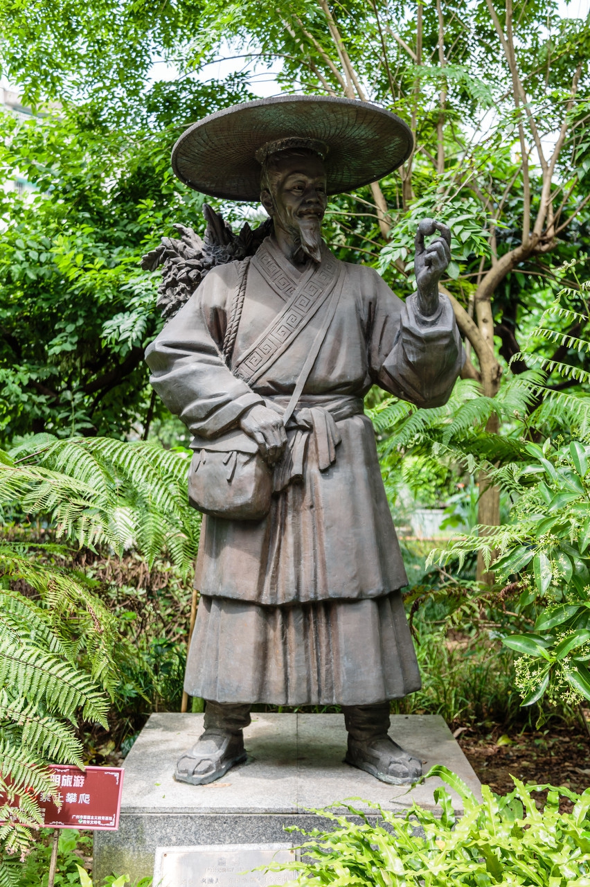 扁鹊是金元四大名医吗,中医四大名医