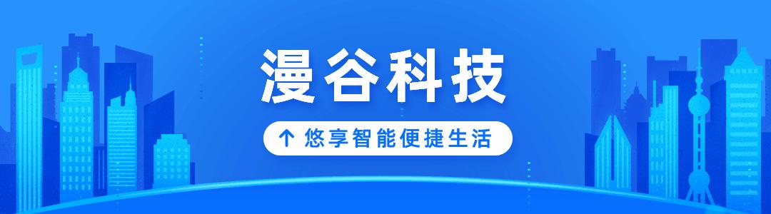 特斯拉发明了什么东西,特斯拉鞋子系列