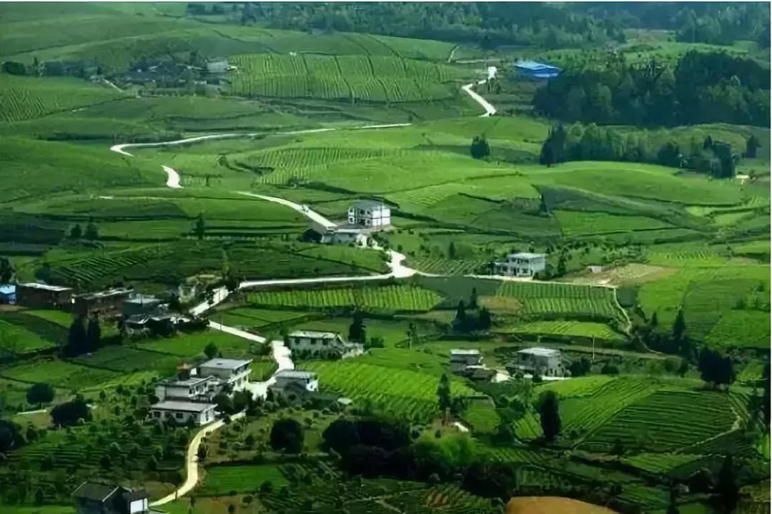 田园综合体农业项目规划,农业综合开发产业化项目