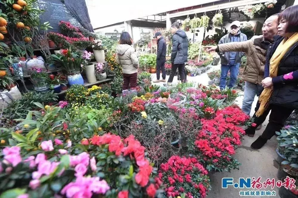 福州地铁5号线荆溪段建完了吗,福州地铁5号线延伸西段最新消息