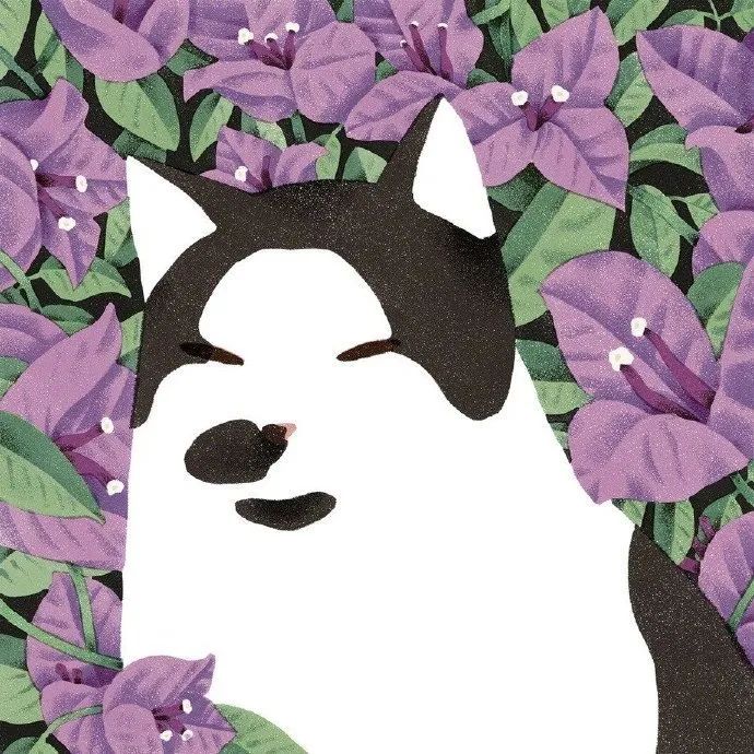 精妙的细节和色彩插画,插画作品想象力是最吸引人的色彩