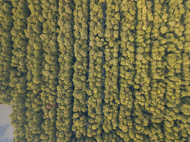 乘着动车去旅行,乘着高铁游扬州高邮北