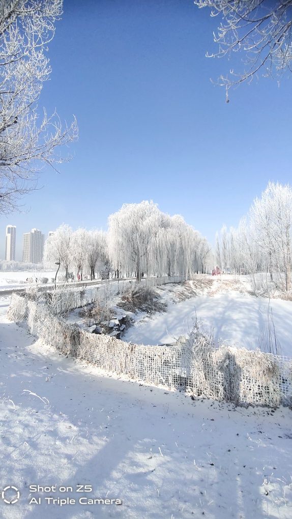 这才是东北该有的味道,这才是东北农村该有的样子