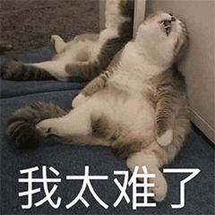 word如何去除烦人的下划线,word内容怎么也删不掉