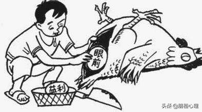 朋橙心理：团队激励为什么我不建议你谈钱