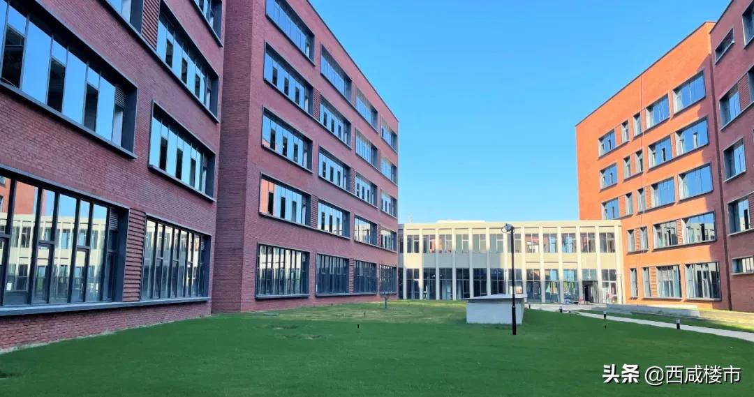 新增的231个学位是什么,5年内新增438万公办学位