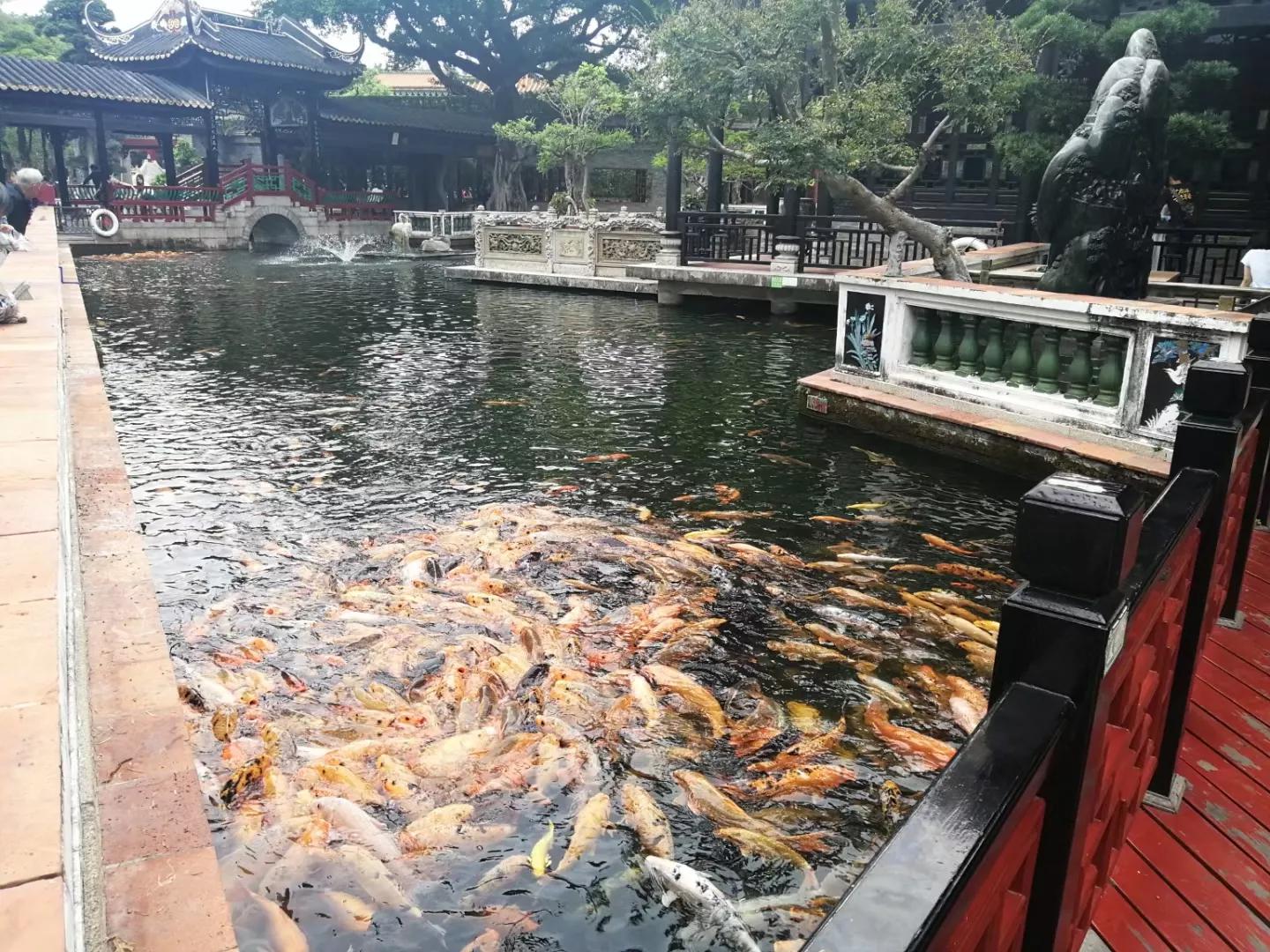 番禺南站旅游攻略,广州3号线地铁番禺旅游攻略