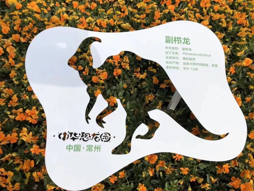 恐龙园欢乐谷方特,欢乐谷方特还有什么游乐园