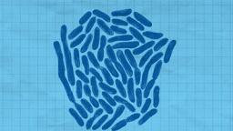 脚臭可能引起的皮肤疾病有哪些,脚臭和脚痒到底能不能治好