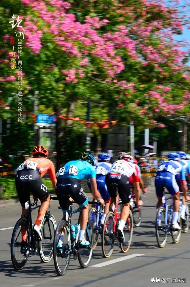环广西世巡赛爬山,环广西世巡赛钦州至南宁