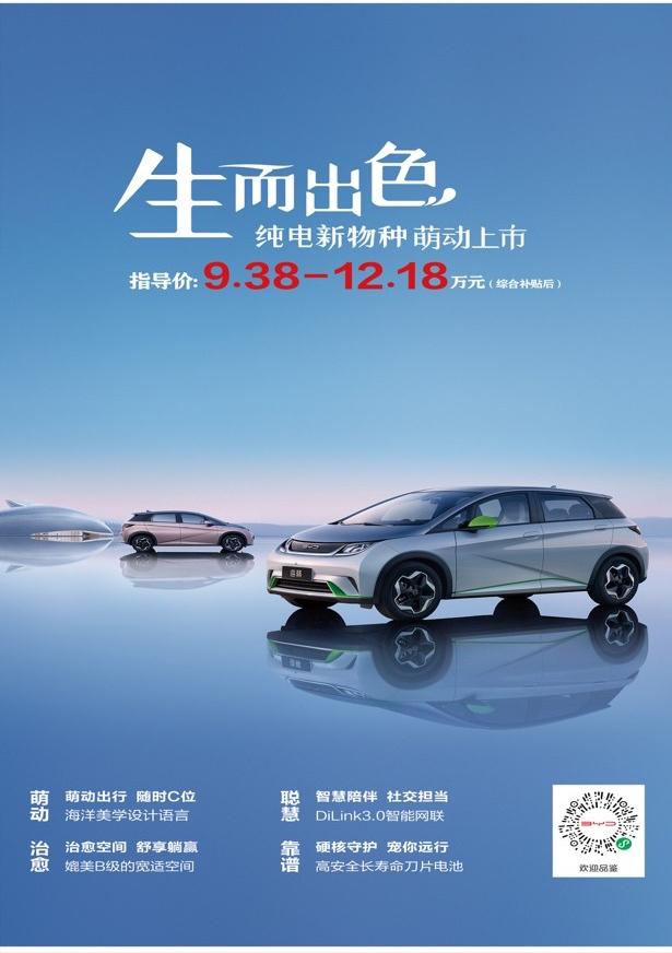 比亚迪海豚临沂盛世鑫源,临沂盛世鑫源年会盛典