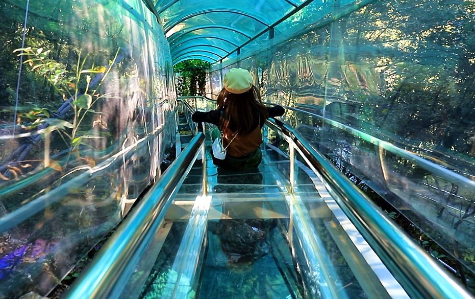 最近昆明有没有最值得去玩景点,推荐昆明最适合去玩的地方