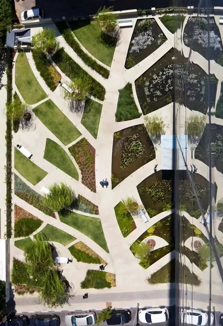 一条景观步道,一条景观路设计图片