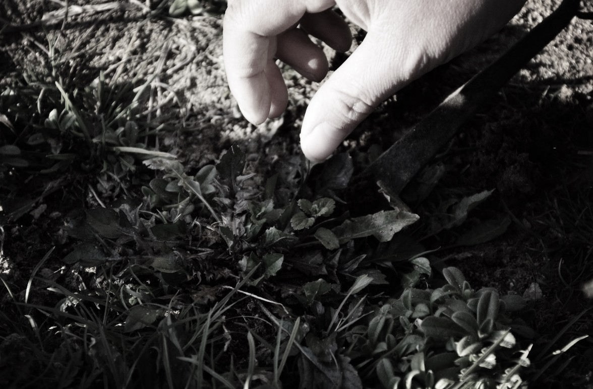 乡土散文快乐的童年时光,童年时光乡情散文