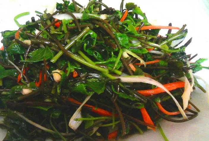 秦岭小九寨沟黄柏塬,陕西秦岭九寨黄柏源