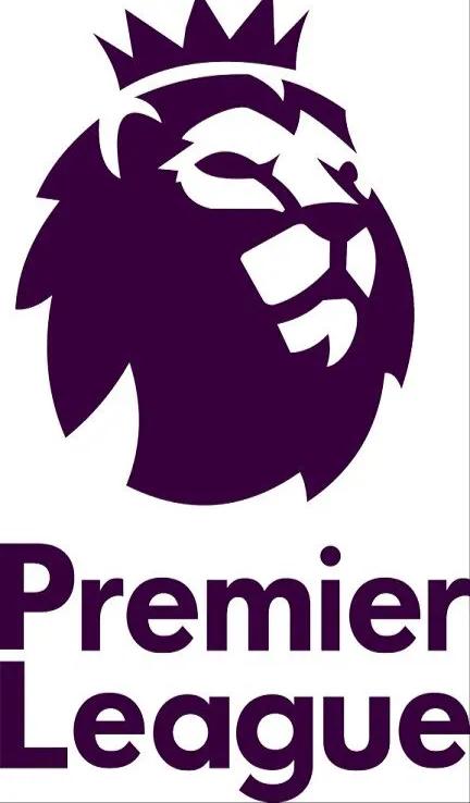 五大联赛排行在哪查,五大联赛转播费