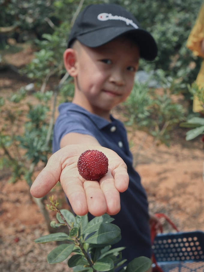 火山岛旅游攻略自由行包车,火山岛三天两晚游