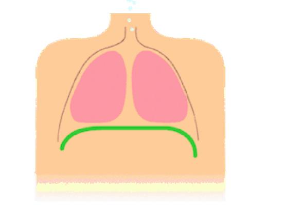 鑻忕偝娣诲惞姘旂悆鑵瑰紡鍛煎惛,鑻忕偝娣诲惞姘旂悆鑵瑰紡鍛煎惛瑙嗛