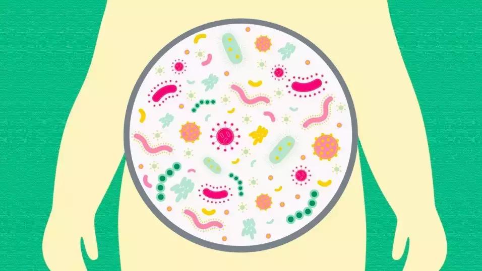 元素周期表实物典藏版是真的吗,80年代的元素周期表