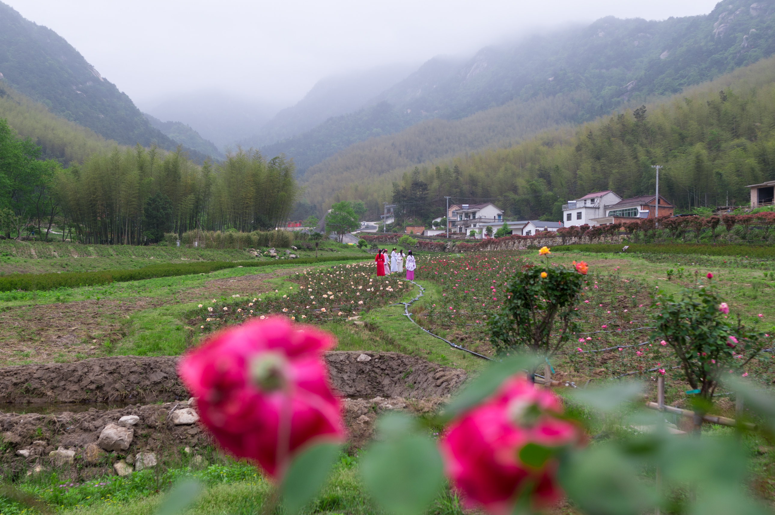 天柱天仙峡,天柱山天仙峡风景图