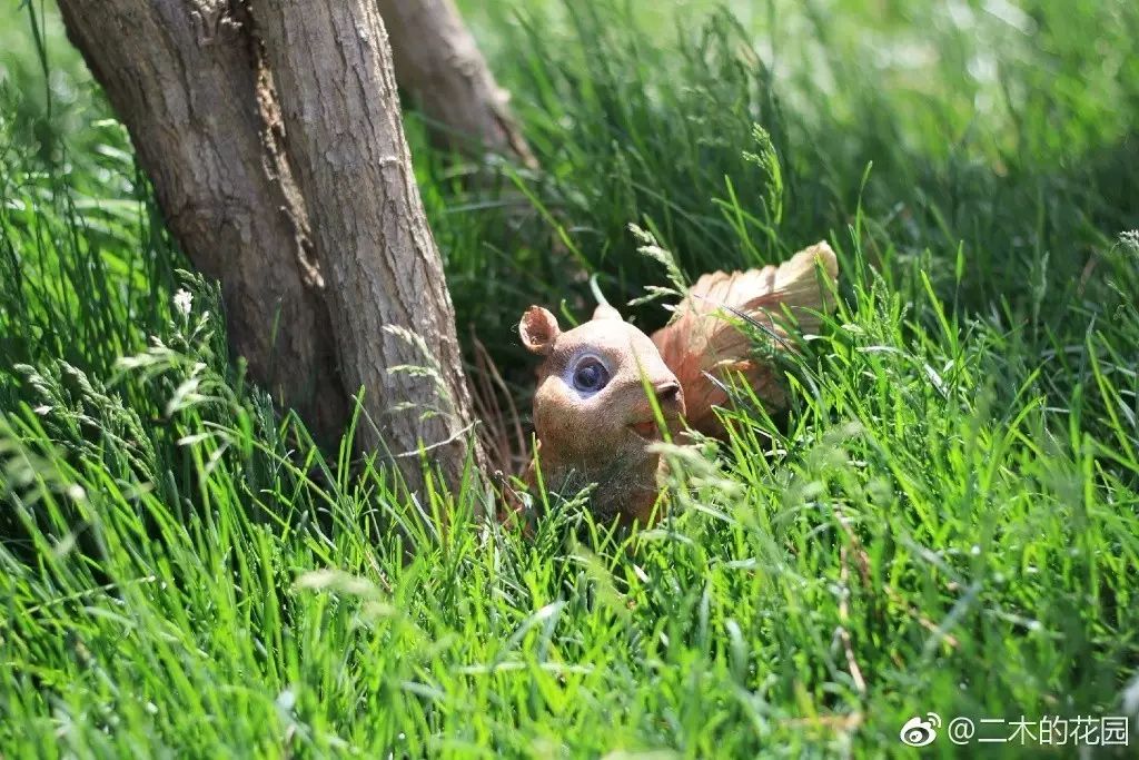 澶氳倝澶х浜屾湪,澶氳倝杈句汉浜屾湪
