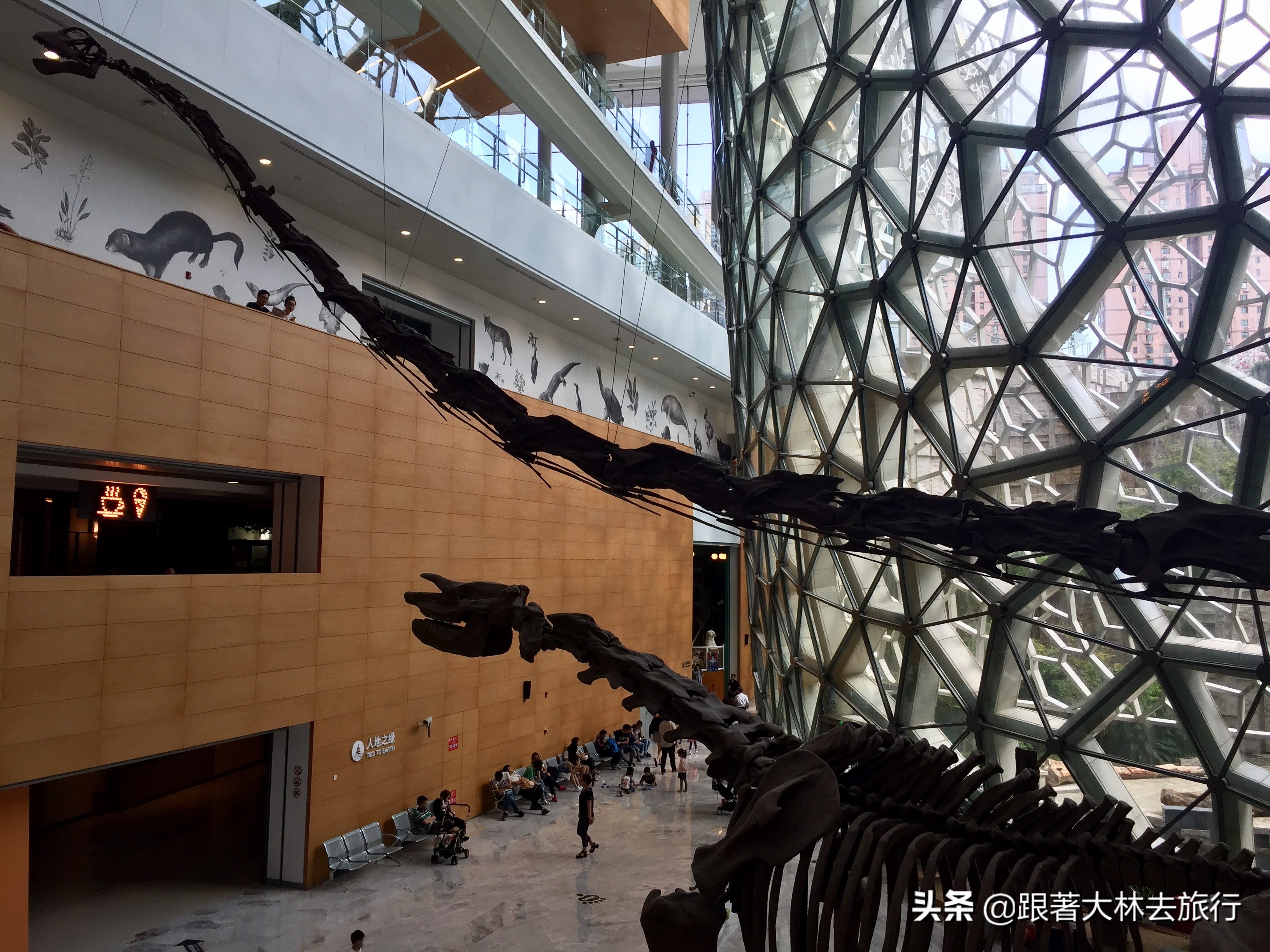 上海旅游带什么便宜实惠的礼物,上海伴手礼必买清单