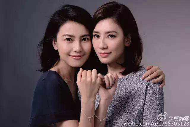 泰迪姐妹团消亡史刘芸篇,泰迪姐妹团消亡史