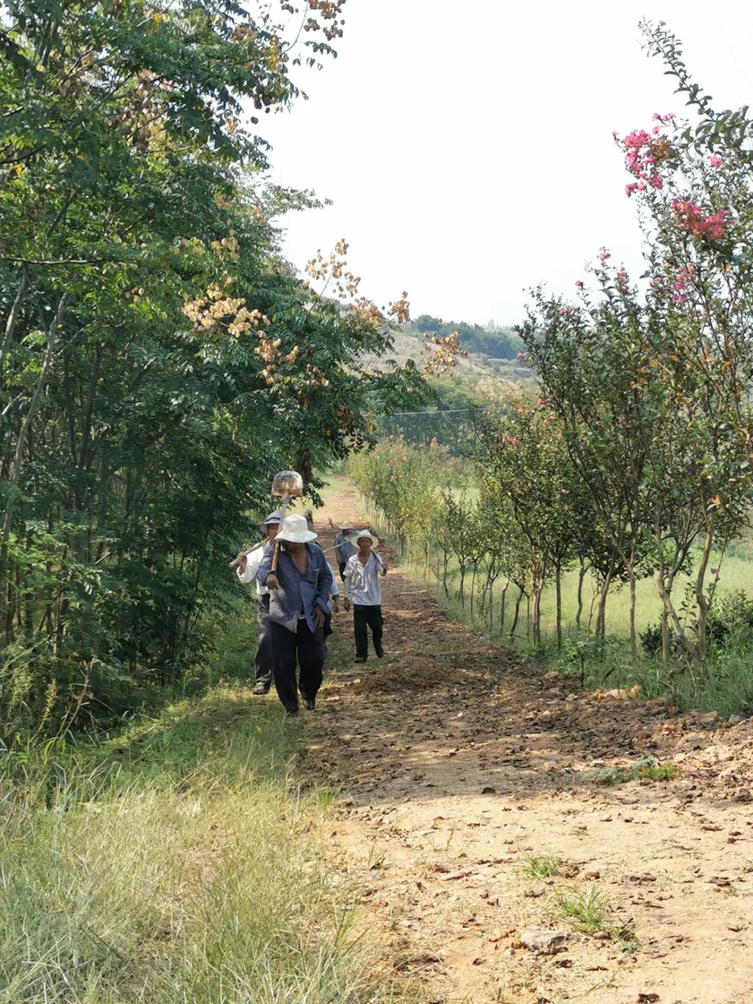 鍐滄皯鏃ユ姤绯诲垪鎶ラ亾,鍐滄皯鏃ユ姤涔℃潙鎸叴鎶ラ亾