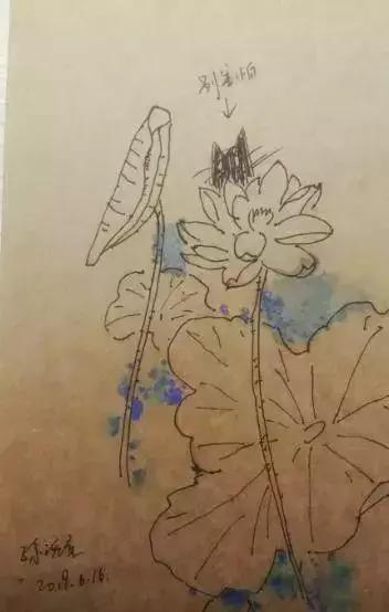 琬童画宇宙vol010|全然绽放地活着