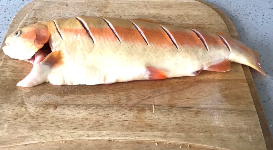 金鳟鱼虹鳟鱼冰鲜,广东冰鲜虹鳟鱼
