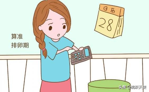 怎么确定自己的排卵期,如何准确知道女人的排卵期