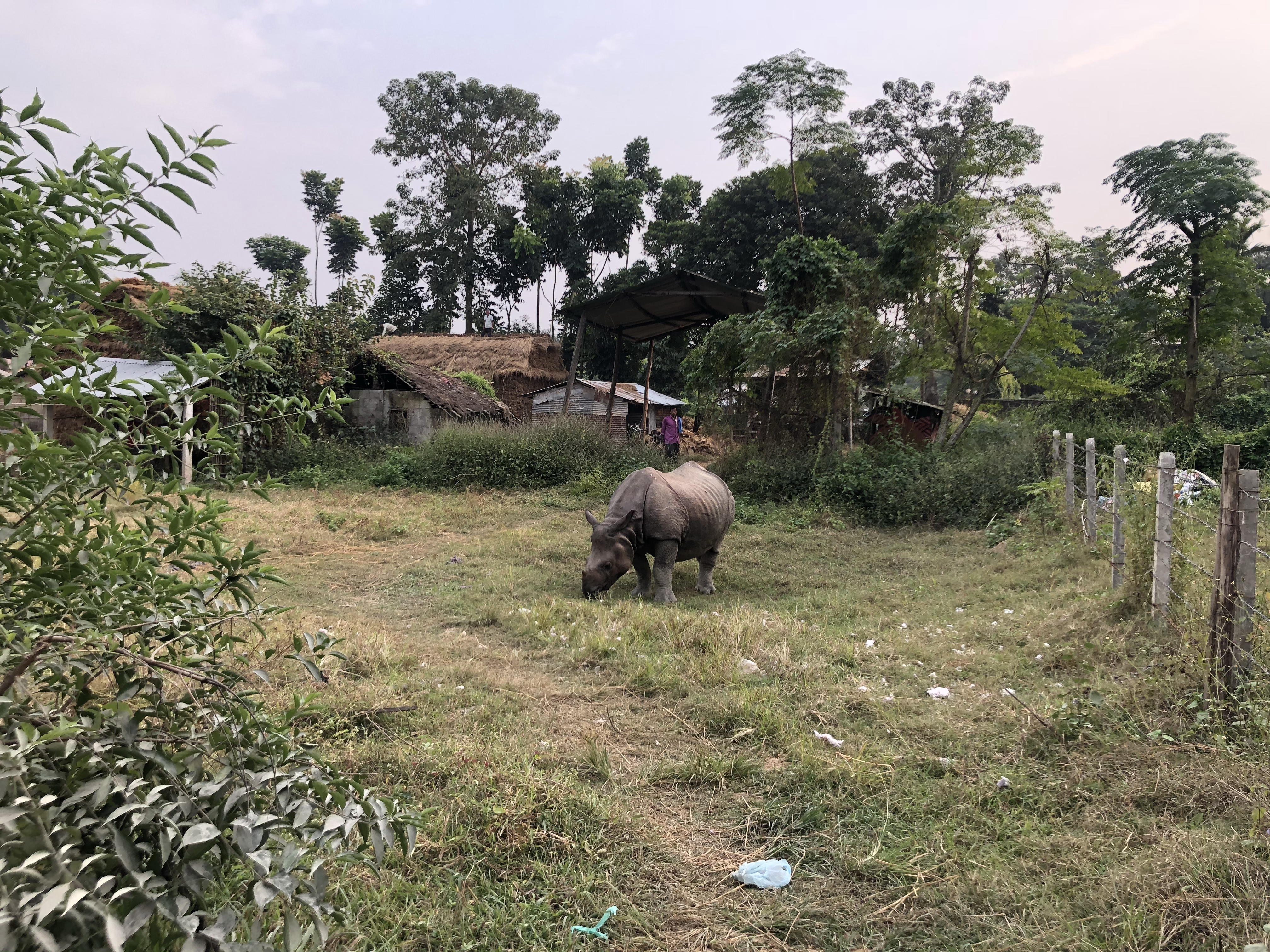 尼泊尔自由行第三天视频,尼泊尔自驾游纯玩路线定制