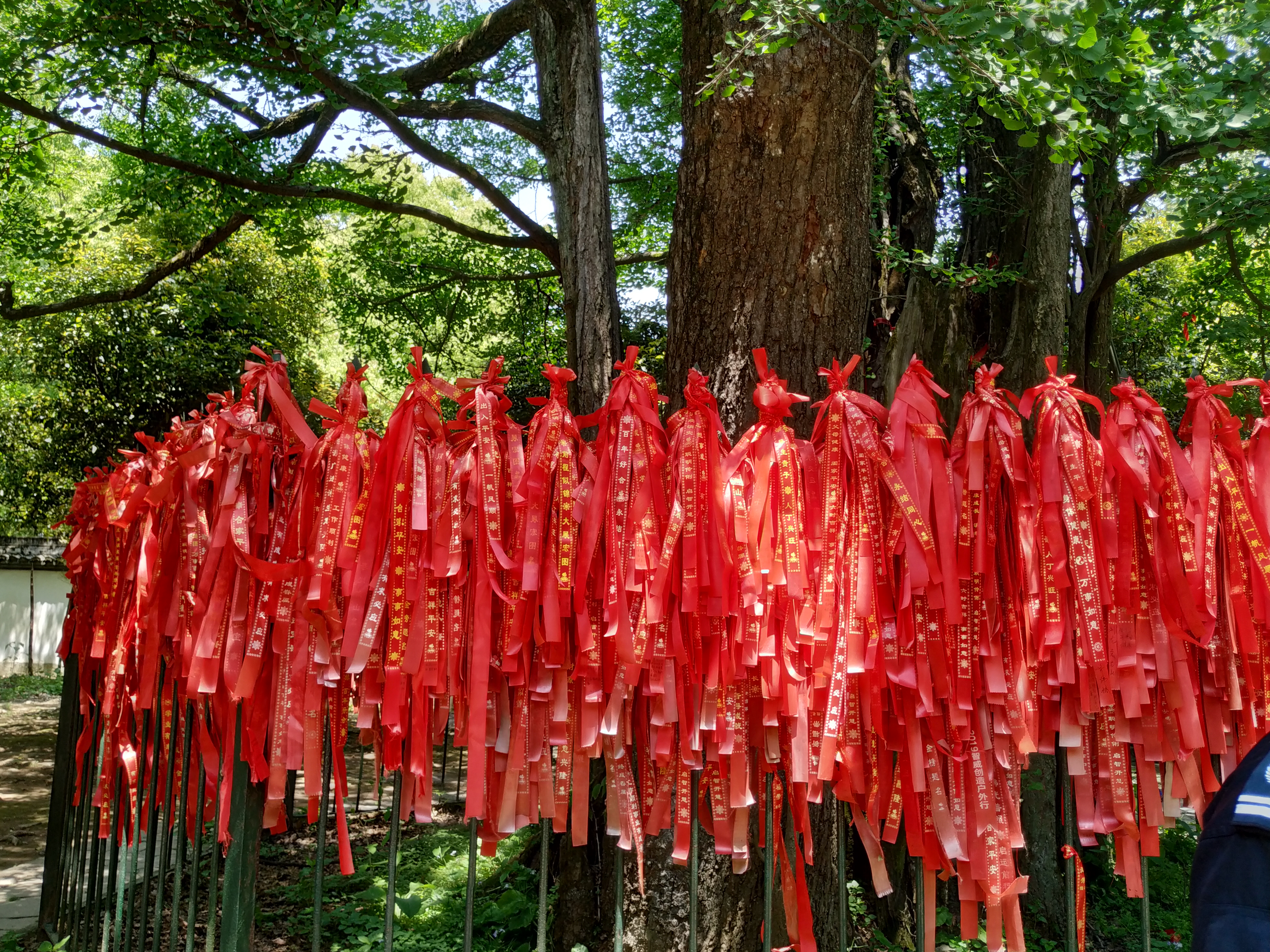 一个旅居者眼中的杭州:似水流年捕捉那四时光阴,美是记得
