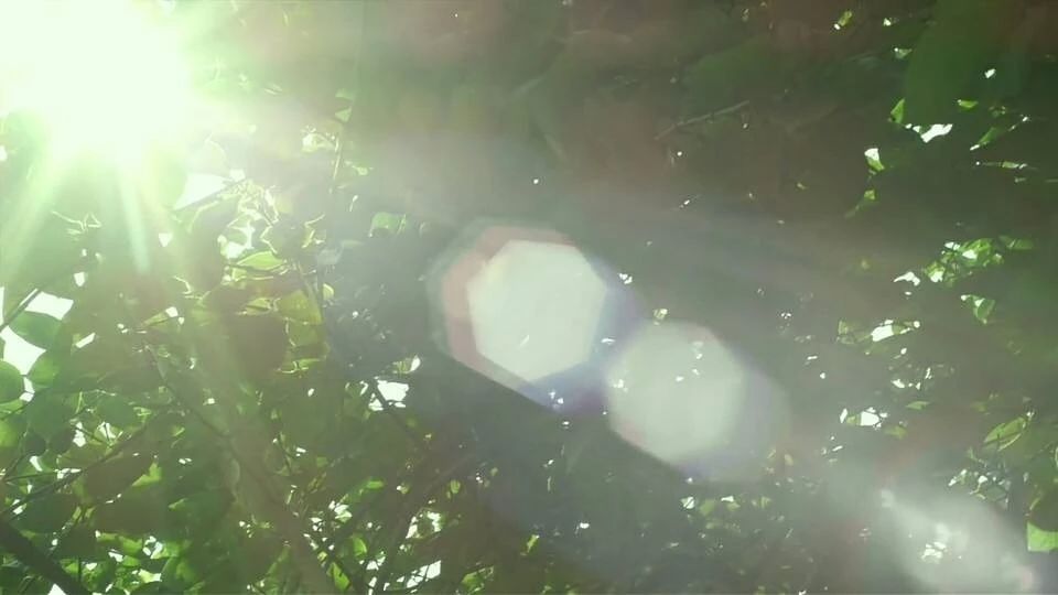 5种不要轻易做的兼职,兼职千万不要这样做