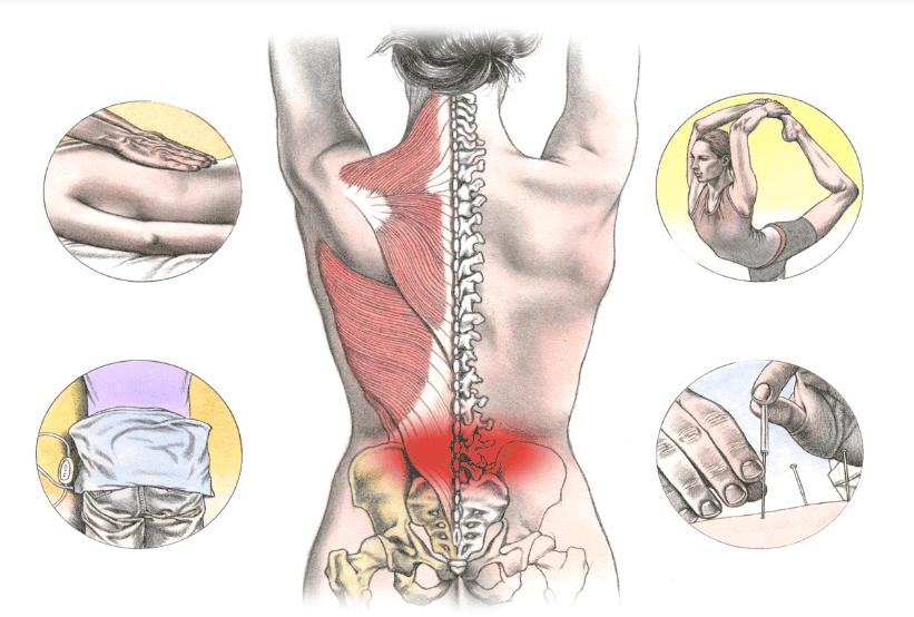 后背特别硬是什么原因,后背硬硬