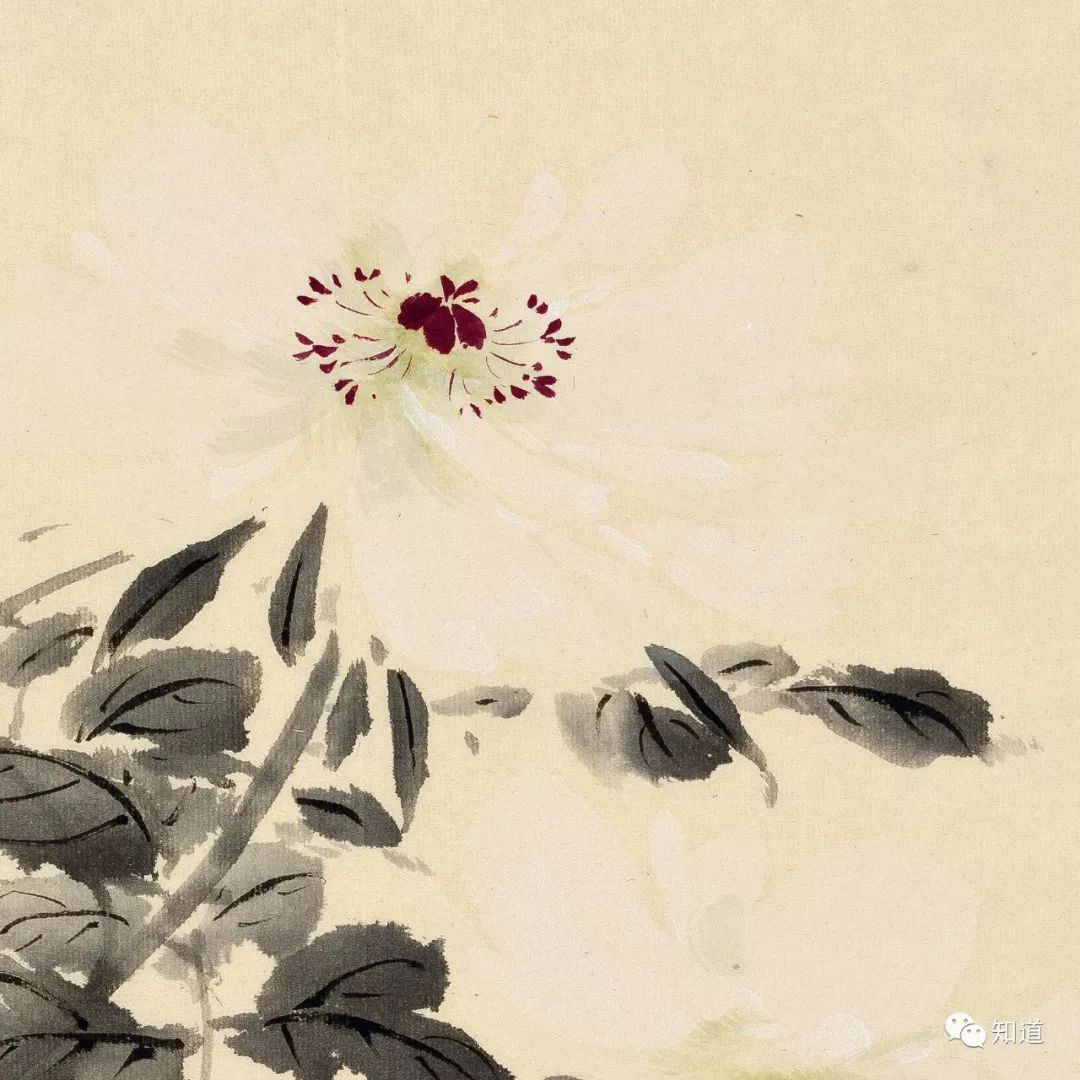 绘画必须明白的知识,绘画必须要学会什么