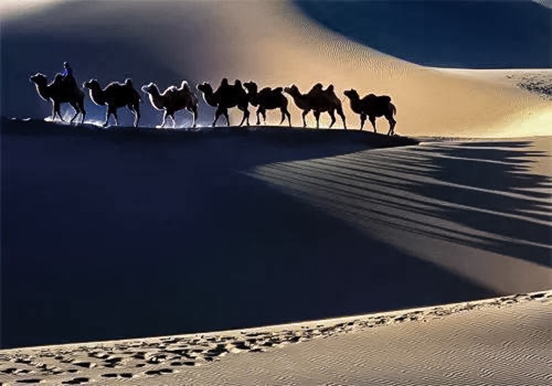 2022库布齐沙漠比赛时间,库布齐沙漠徒步全部视频