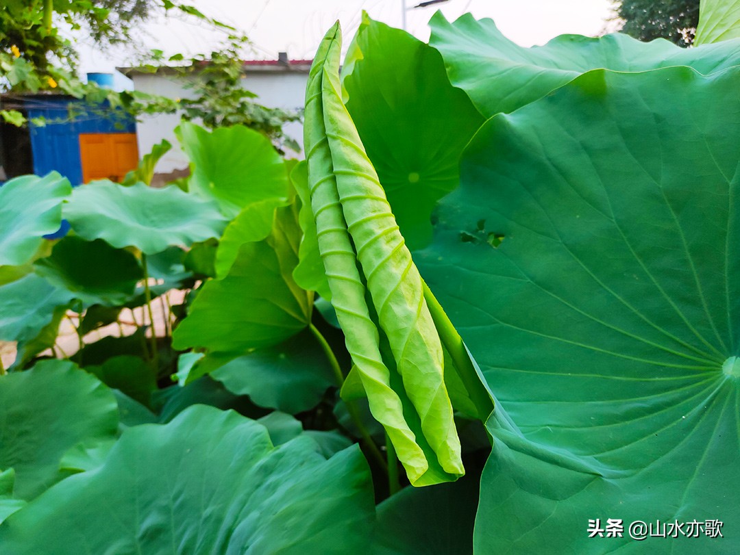 徒步米仓古道的感受,徒步石家庄大峡谷