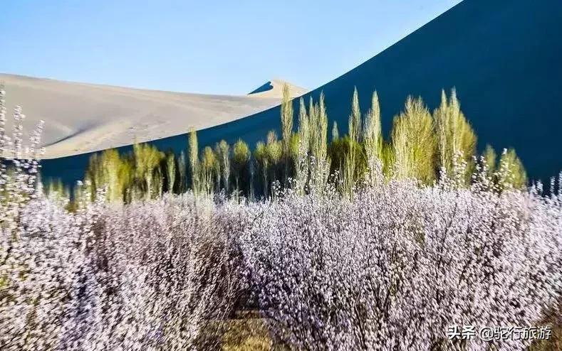 敦煌夜市现在还开吗,祝贺敦煌夜市开市