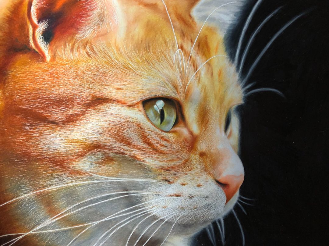 失明女孩铅笔画,保护视力守护心灵素描画