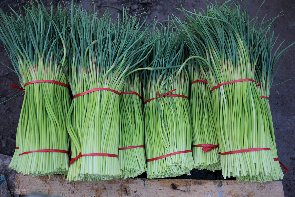 蒜苔价格今日行情卖蒜苔赚钱吗,蒜苔行情一下下滑几毛钱怎么回事