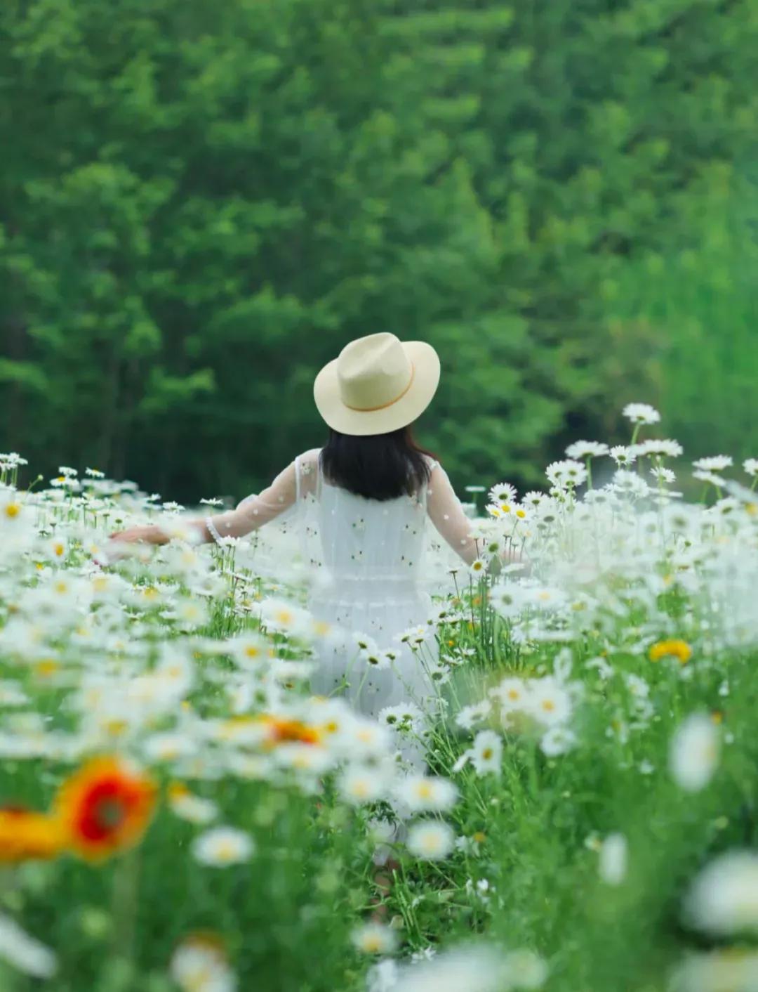 五一小众宝藏旅行地成都周边,成都旅行打卡地