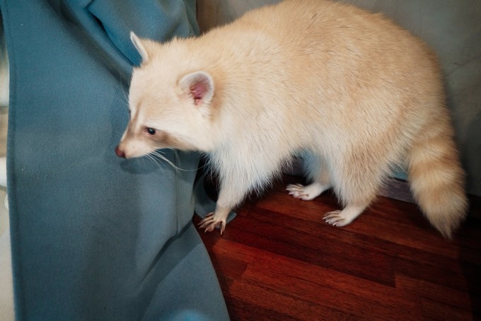 去韩国必买清单,韩国购物攻略衣服