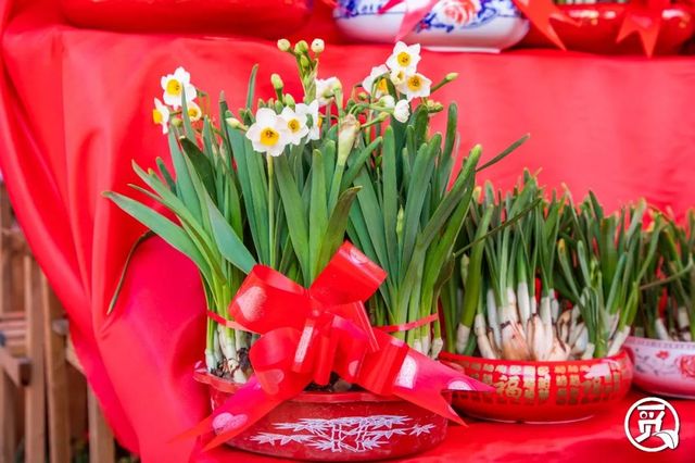 深圳花店有什么花,深圳龙华花店订花送花