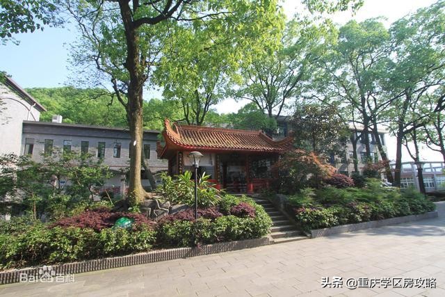 南岸初中学校排名2024,南岸区初中学校推荐